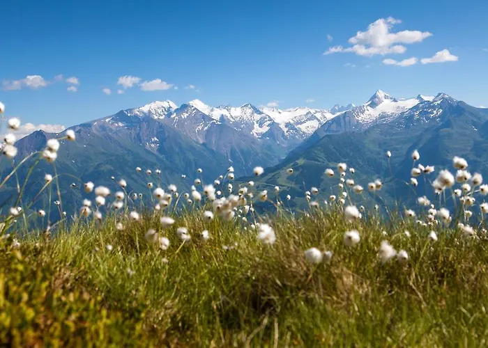 Rodlers * Piesendorf